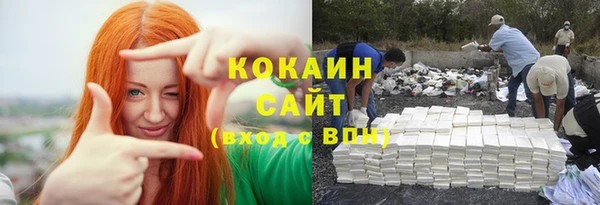 твердый Заводоуковск