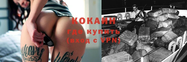 твердый Заводоуковск