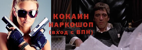 твердый Заводоуковск