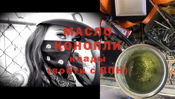 твердый Заводоуковск