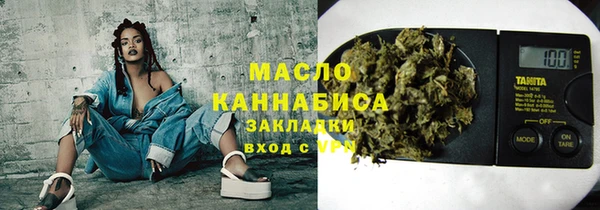 твердый Заводоуковск