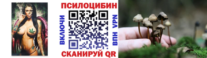Псилоцибиновые грибы Magic Shrooms Морозовск